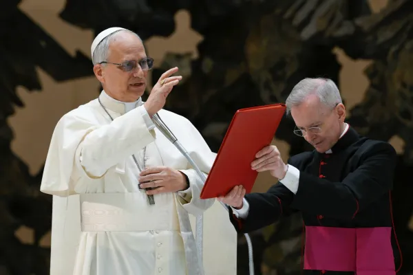 Leone XIV / Vatican Media / ACI Group